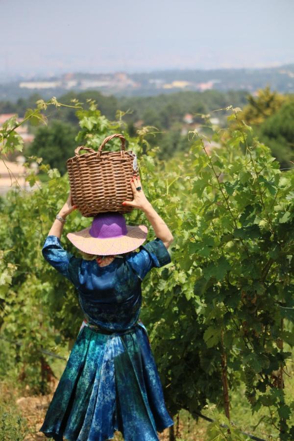 Quinta Da Chapeleira Em Azeitao Villa Екстериор снимка