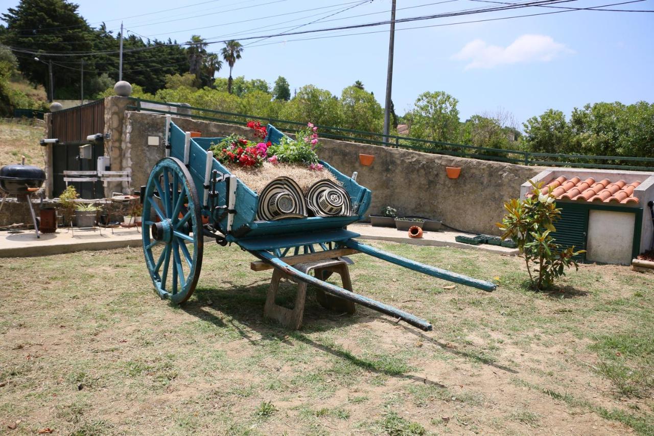 Quinta Da Chapeleira Em Azeitao Villa Екстериор снимка