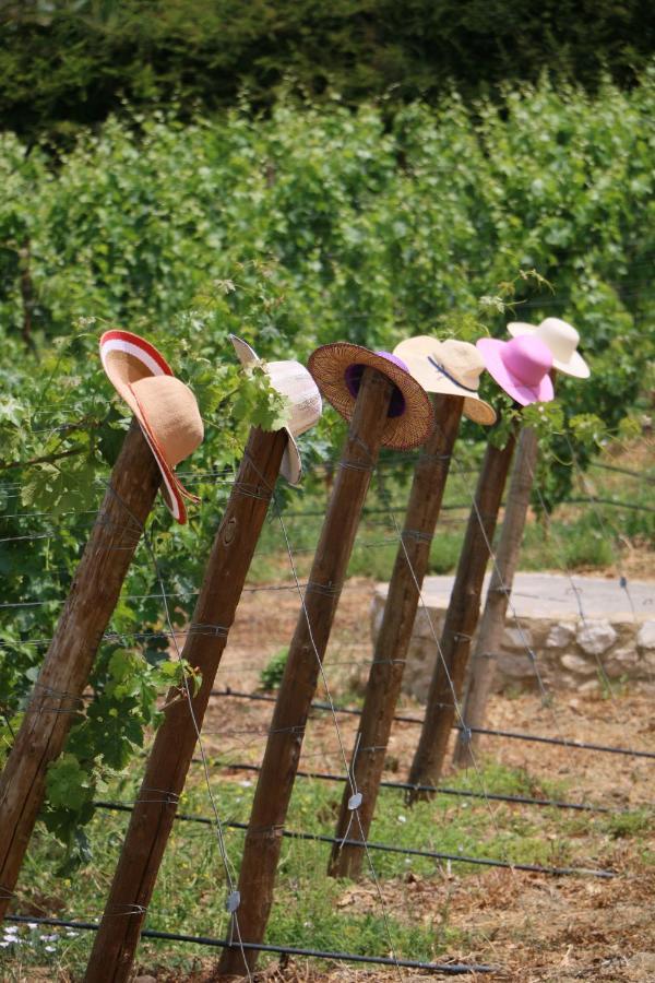 Quinta Da Chapeleira Em Azeitao Villa Екстериор снимка